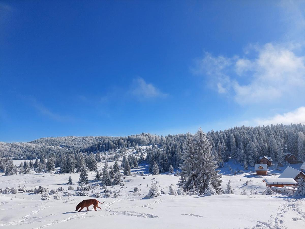 Вилла Gold Hill Sekulic Экстерьер фото
